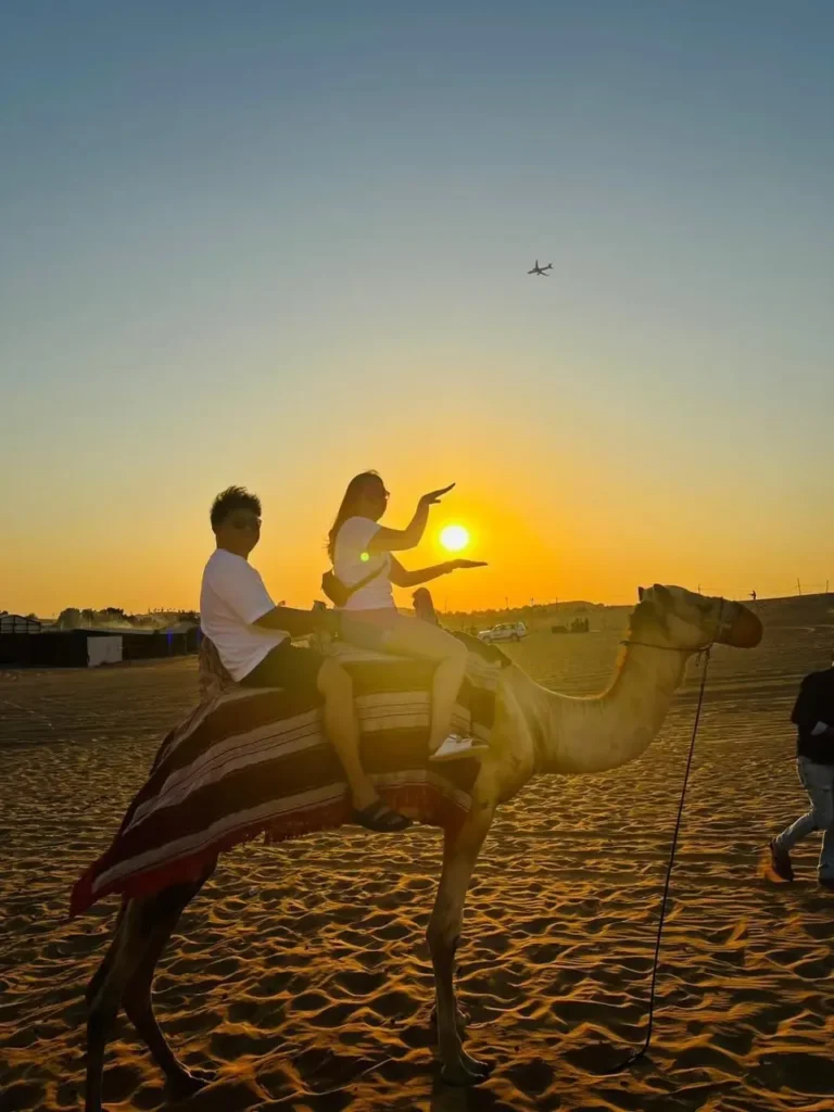 Dubai Desert Safari